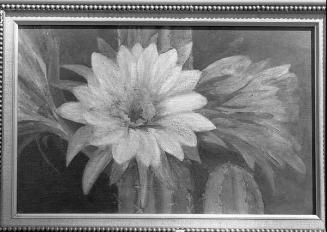 Registro fotográfico de la pintura "Flor de cactus"