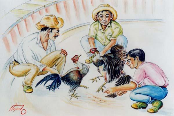 Registro fotográfico de la ilustración "Echando gallos"