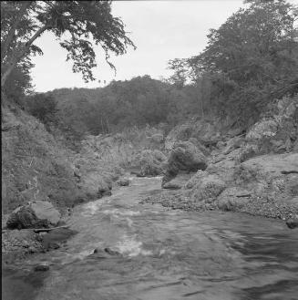 Río en Guayubín