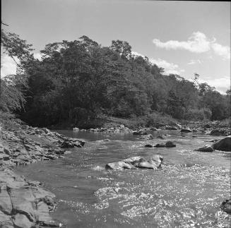 Confluencia de ríos en Guayubín