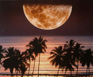 Luna Sobre el Caribe