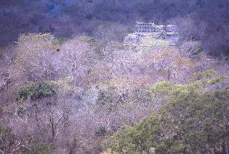Foresta y ruina prehispánica de Yucatán