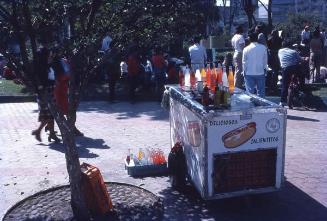 Puesto de venta informal en México