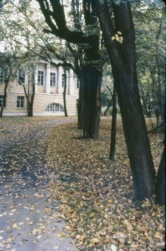 Alfombra de hojas secas en Moscú