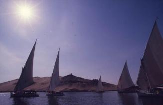 Embarcaciones en aguas egipcias II