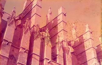 Detalles estructurales de la Catedral de Santa María de Mallorca