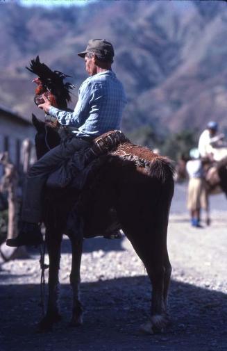 Gallero a caballo en Rancho Arriba I