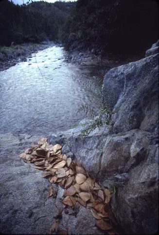 Rocas junto al río en Mata Grande