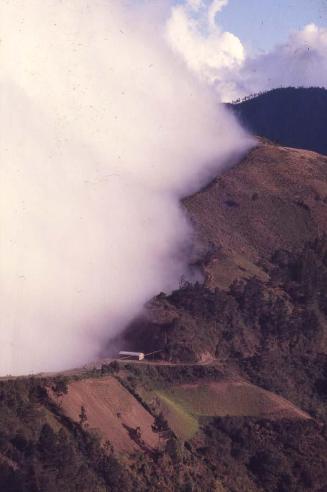 Niebla en el Valle de Constanza III