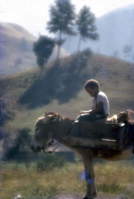 Niño montado en un burro