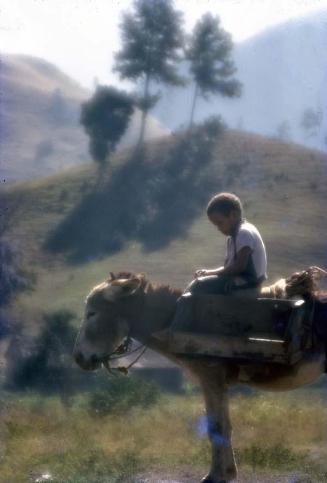 Niño montado en un burro