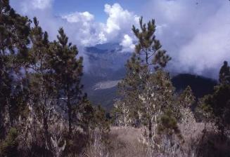 Parque de la Cordillera Central I
