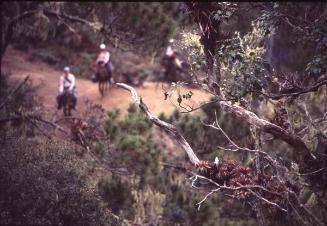 Exploradores del Pico Duarte en mulo II