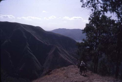 Explorador del Pico Duarte en mulo VI
