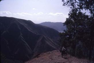 Explorador del Pico Duarte en mulo VI