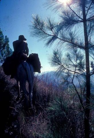 Explorador del Pico Duarte montado en burro