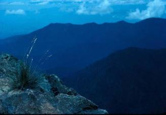 Montañas en azul, Pelona y Pico Duarte IV