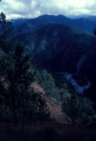 Río entre laderas de montañas del Pico Duarte