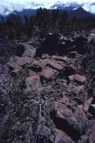 Piedras del Pico Duarte II