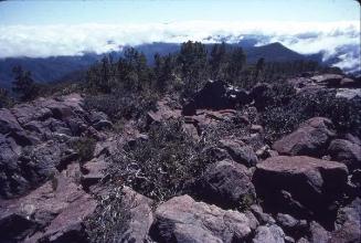 Piedras del Pico Duarte III