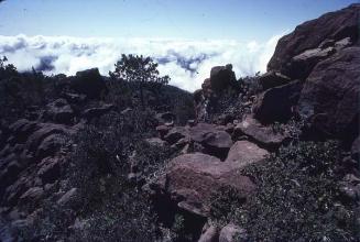 Piedras del Pico Duarte IV