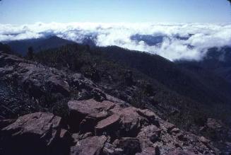 Piedras del Pico Duarte V