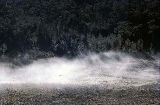 Neblina sobre un prado del Pico Duarte II