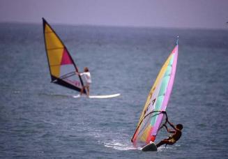Windsurfistas en la costa norte de República Dominicana II