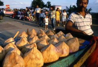Vendedor de cocos