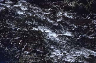 Detalle de cauce de río en Mata Grande