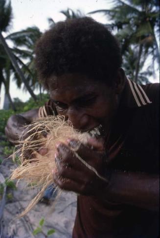 Pelador de cocos en la isla Saona
