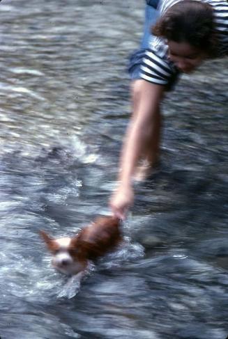Mujer y perro en el río