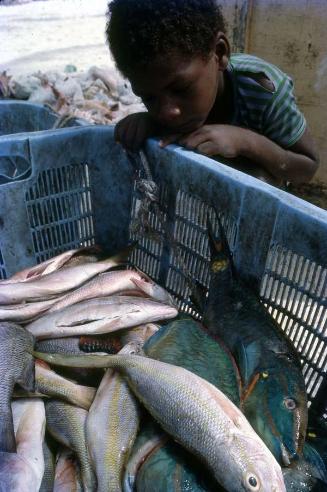 Niño junto a canasto con pescados en la isla Saona