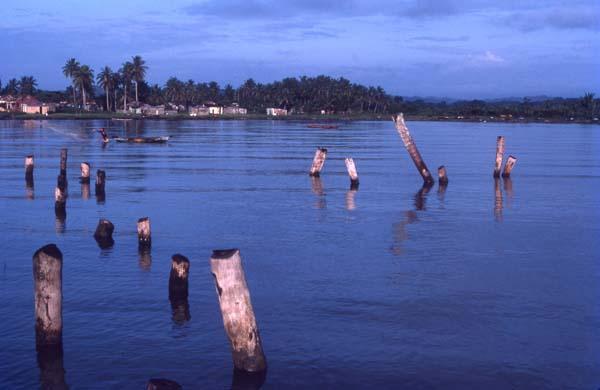 Maderos en aguas de Bayahibe