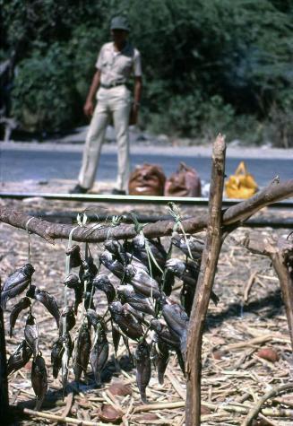 Sartas de pescados en venta en Barahona