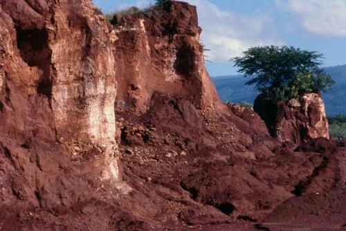 Mina de bauxita en Cabo Rojo III