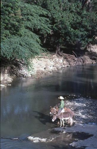 Campesino y burros en río del Sur