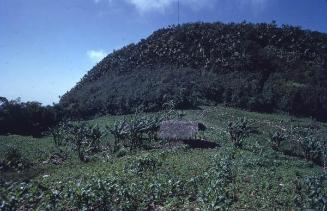 Rancho entre parcelas del Diego de Ocampo