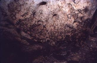 Pictografías en una cueva del Parque Nacional del Este IV