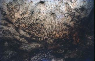 Pictografías en una cueva del Parque Nacional del Este V