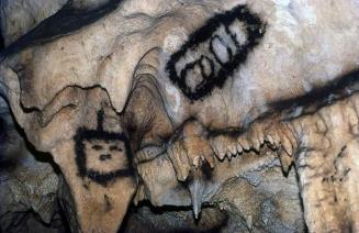 Pictografías en una cueva del Parque Nacional del Este VI