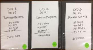 DVD con 133 imágenes digital en alta resolución