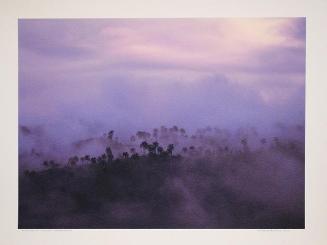 Fotografía/color, Niebla en la montaña