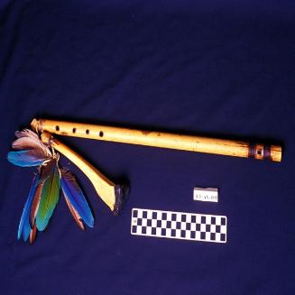 Flauta de bambú y hueso