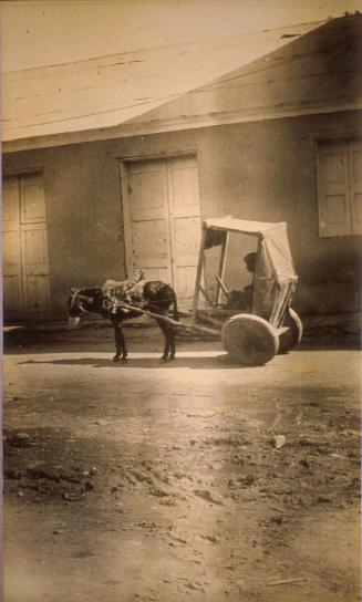 Escena callejera de un burro halando una carreta. 1919-1922