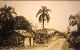 Escena bucólica de la típica campiña del norte de la República Dominicana.1919-1922