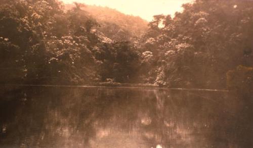 Laguna o río reflejando un denso bosque.1919-1922