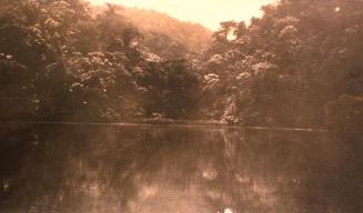 Laguna o río reflejando un denso bosque.1919-1922