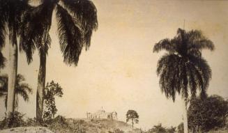 Palmar enmarcando la iglesia del Santo Cerro. 1919-1922