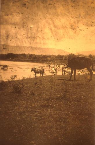 Lavanderas en el río Yaque cerca de Nibaje. 1919-1922